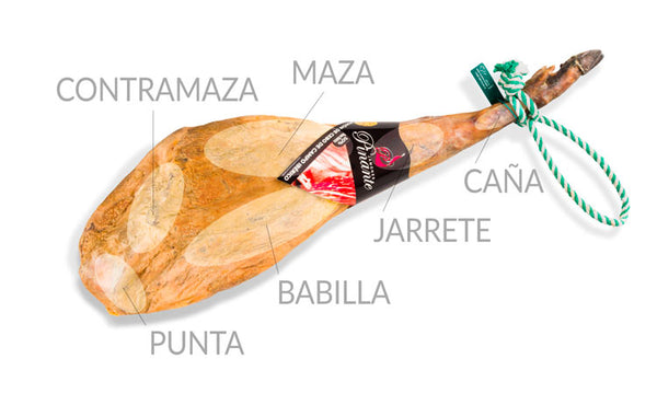 partes del jamón