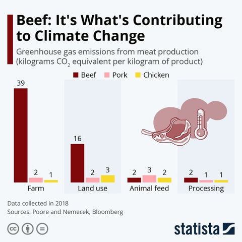 Estadísticas comer carne y su relación con el cambio climático