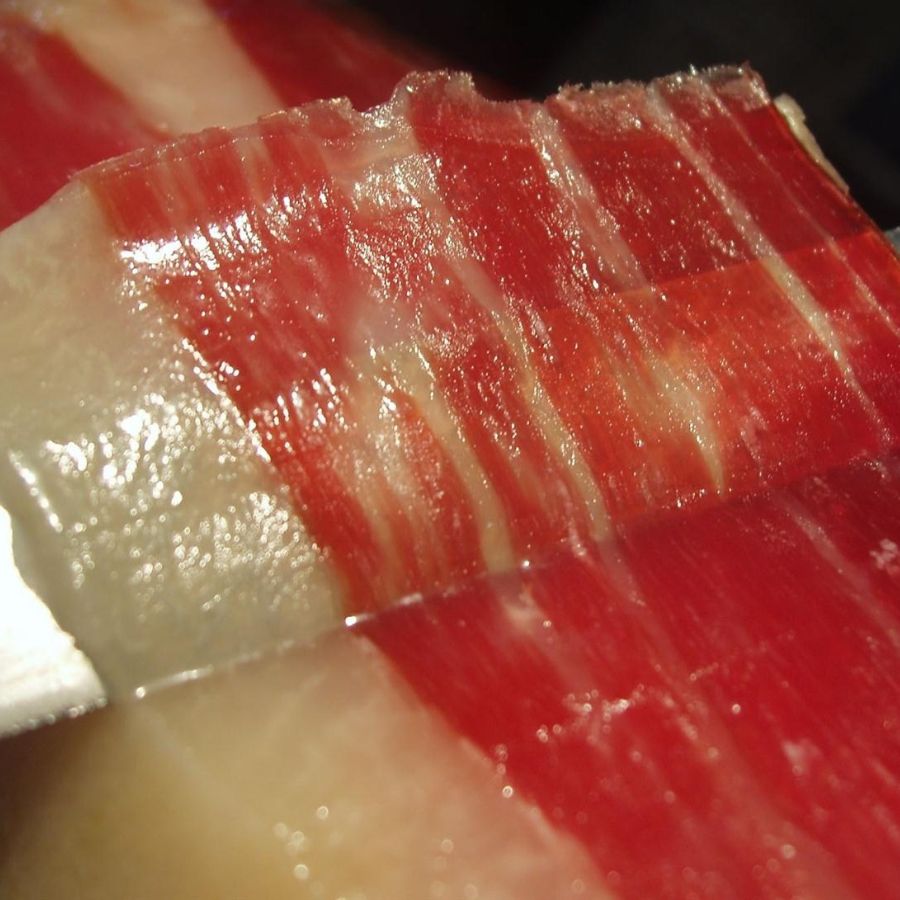 conservar-grasa-jamon-iberico